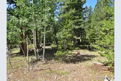 257 Jicarilla Trl, Red Feather Lakes, CO 80545 - Photo 23