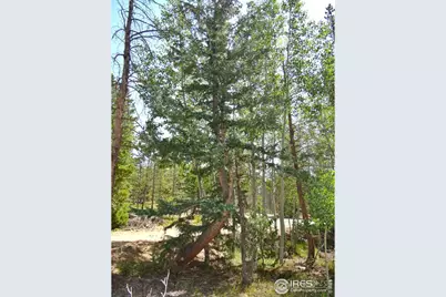 257 Jicarilla Trl, Red Feather Lakes, CO 80545 - Photo 27