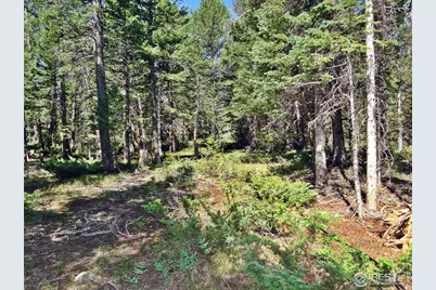 257 Jicarilla Trl, Red Feather Lakes, CO 80545 - Photo 9