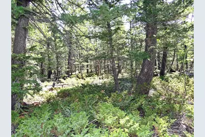 257 Jicarilla Trl, Red Feather Lakes, CO 80545 - Photo 19