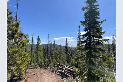 0 Forest Service 169 Rd #Parcel #3, Red Feather Lakes, CO 80545 - Photo 9