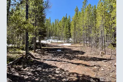 0 Forest Service 169 Rd #Parcel #3, Red Feather Lakes, CO 80545 - Photo 13