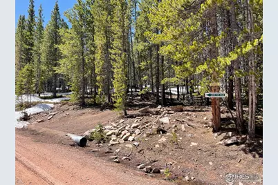 0 Forest Service 169 Rd #Parcel #3, Red Feather Lakes, CO 80545 - Photo 11