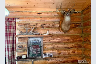 4911 Storm Mountain Dr, Drake, CO 80515 - Photo 9