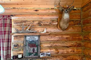 4911 Storm Mountain Dr, Drake, CO 80515 - Photo 9