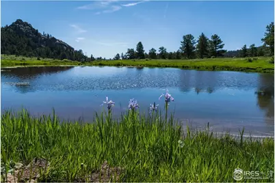 Shoshana Ranch Rd, Livermore, CO 80536 - Photo 3