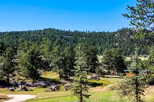 490 Gordon Ct, Livermore, CO 80536 - Photo 33