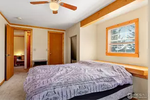490 Gordon Ct, Livermore, CO 80536 - Photo 19