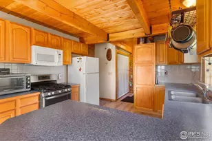 490 Gordon Ct, Livermore, CO 80536 - Photo 11