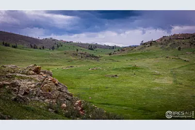 816 Meadow Way, Livermore, CO 80536 - Photo 11