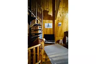 867 Windy Ridge Rd, Red Feather Lakes, CO 80545 - Photo 23