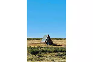 867 Windy Ridge Rd, Red Feather Lakes, CO 80545 - Photo 3