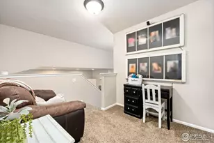 368 Mount Bross Ave, Severance, CO 80550 - Photo 17