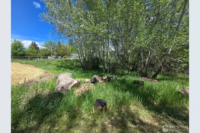 2001 W Prospect Rd, Fort Collins, CO 80526 - Photo 3