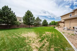 7401 Pimlico Dr, Windsor, CO 80550 - Photo 33