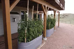 631 Linecamp Dr, Livermore, CO 80536 - Photo 37