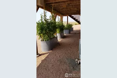 631 Linecamp Dr, Livermore, CO 80536 - Photo 39