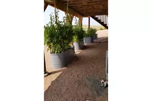 631 Linecamp Dr, Livermore, CO 80536 - Photo 39