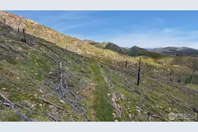 898 Hernia Hill Trl, Bellvue, CO 80512 - Photo 5