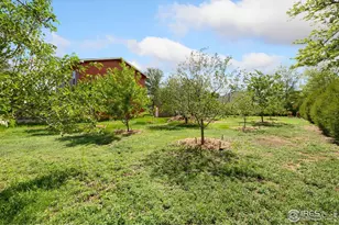 4321 Main St, Timnath, CO 80547 - Photo 35