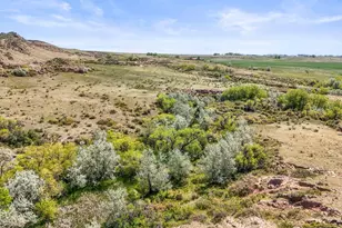 3310 W County Rd 80, Wellington, CO 80549 - Photo 45