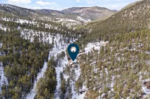 952 Skinner Gulch Rd, Loveland, CO 80537 - Photo 41