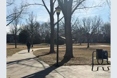 936 Bramblebush St, Fort Collins, CO 80524 - Photo 39