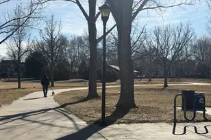 936 Bramblebush St, Fort Collins, CO 80524 - Photo 39