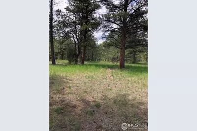 442 Quarter Circle Ln, Evergreen, CO 80439 - Photo 7