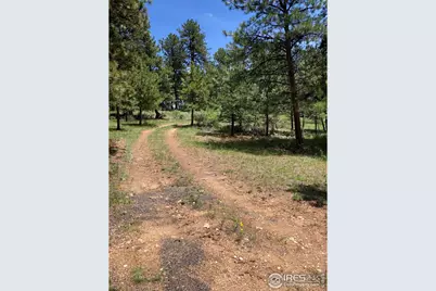 442 Quarter Circle Ln, Evergreen, CO 80439 - Photo 11