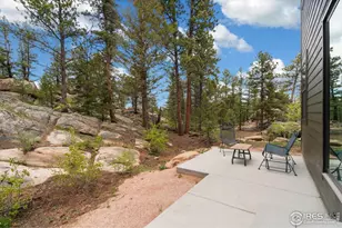 111 Elk Trl, Red Feather Lakes, CO 80545 - Photo 25