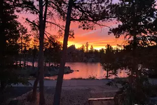 111 Elk Trl, Red Feather Lakes, CO 80545 - Photo 37