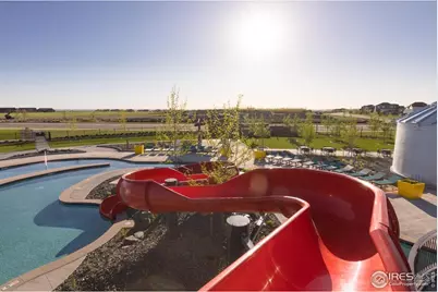 1889 Spring Bloom Dr, Windsor, CO 80550 - Photo 29