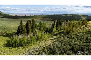 209 Forb Ln, Red Feather Lakes, CO 80545 - Photo 31