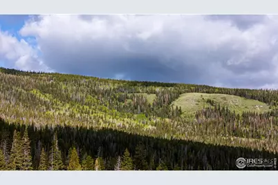 209 Forb Ln, Red Feather Lakes, CO 80545 - Photo 33