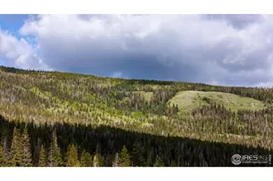 209 Forb Ln, Red Feather Lakes, CO 80545 - Photo 33