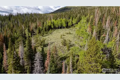 209 Forb Ln, Red Feather Lakes, CO 80545 - Photo 35