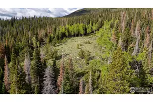 209 Forb Ln, Red Feather Lakes, CO 80545 - Photo 35