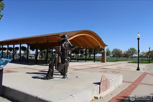 116 Cobble Ct, Windsor, CO 80550 - Photo 41