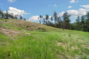 620 Davis Ranch Rd, Bellvue, CO 80512 - Photo 15