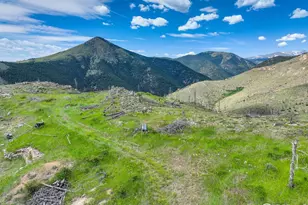 300 Shining Star Trail, Boulder, CO 80302 - Photo 11