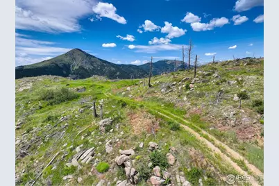 300 Shining Star Trl ##A, Boulder, CO 80302 - Photo 31