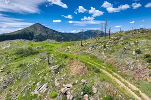 300 Shining Star Trail, Boulder, CO 80302 - Photo 31