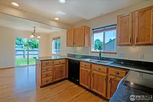 3268 White Buffalo Dr, Wellington, CO 80549 - Photo 11