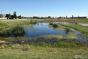 3268 White Buffalo Dr, Wellington, CO 80549 - Photo 41