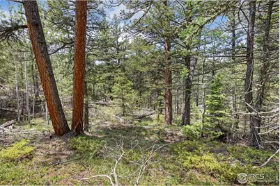 398 Overland Dr, Ward, CO 80481 - Photo 11