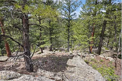 398 Overland Dr, Ward, CO 80481 - Photo 9