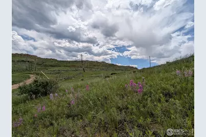 598 Mount McConnell Dr, Livermore, CO 80536 - Photo 3