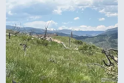 598 Mount McConnell Dr, Livermore, CO 80536 - Photo 1