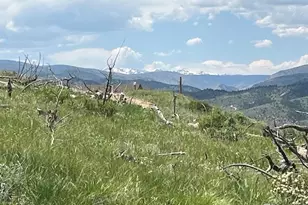 598 Mount McConnell Dr, Livermore, CO 80536 - Photo 1